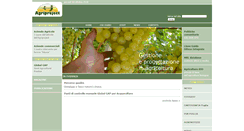 Desktop Screenshot of agriproject.it
